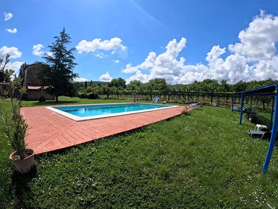 Immagine 17 di Azienda agricola in vendita  a Monteriggioni