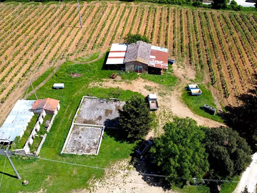 Immagine 11 di Azienda agricola in vendita  a Monteriggioni