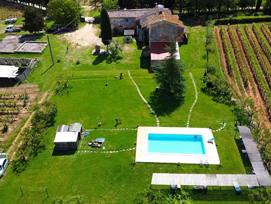 Immagine 6 di Azienda agricola in vendita  a Monteriggioni