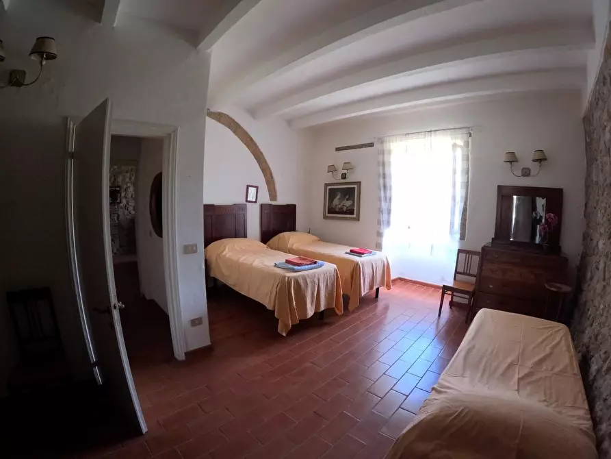 Immagine 20 di Azienda agricola in vendita  a Monteriggioni