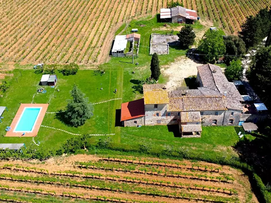 Immagine 8 di Azienda agricola in vendita  a Monteriggioni