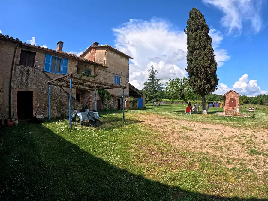 Immagine 13 di Azienda agricola in vendita  a Monteriggioni
