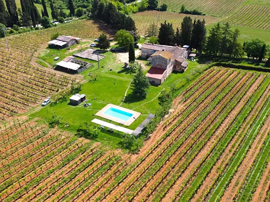 Immagine 9 di Azienda agricola in vendita  a Monteriggioni