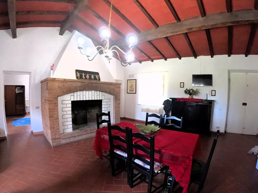 Immagine 24 di Azienda agricola in vendita  a Monteriggioni