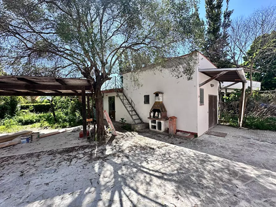 Immagine 4 di Villa in vendita  a Pisa