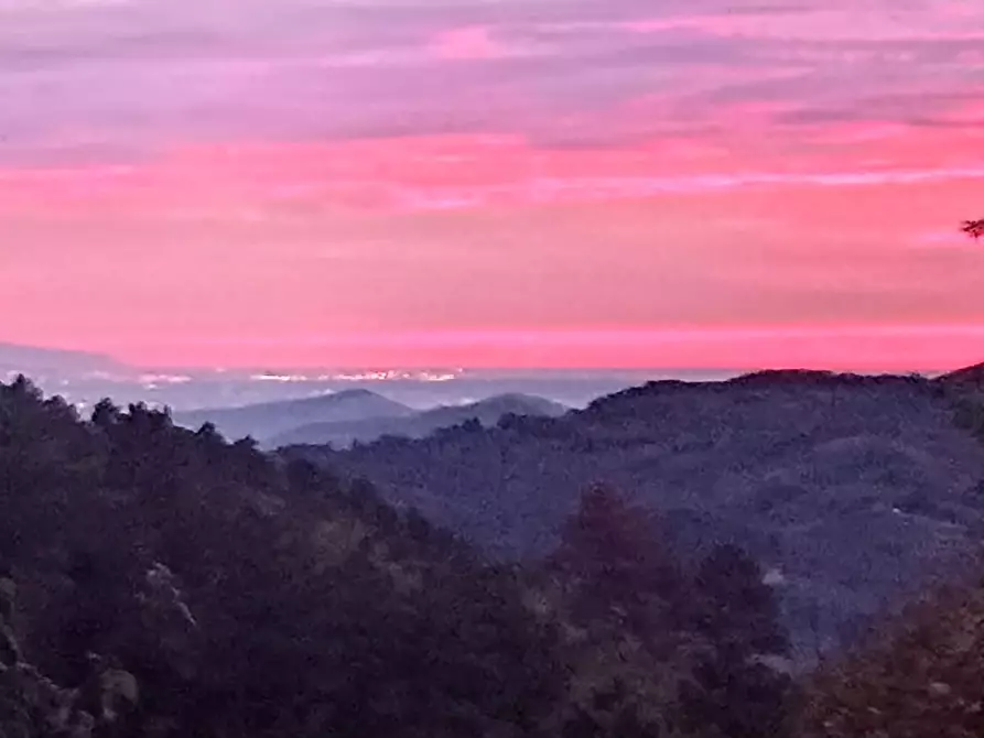 Immagine 2 di Bar / Ristorante in vendita  a Borgo A Mozzano