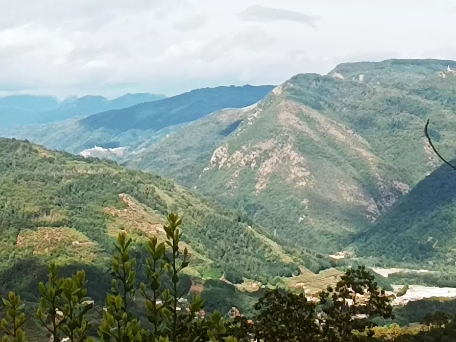 Immagine 8 di Bar / Ristorante in vendita  a Borgo A Mozzano