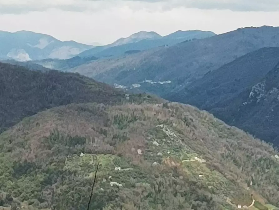 Immagine 5 di Bar / Ristorante in vendita  a Borgo A Mozzano