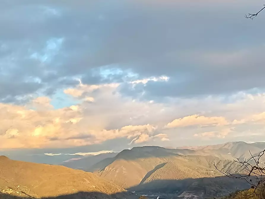 Immagine 7 di Bar / Ristorante in vendita  a Borgo A Mozzano