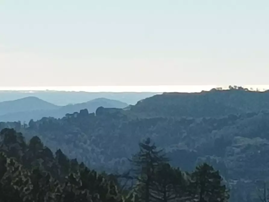 Immagine 4 di Bar / Ristorante in vendita  a Borgo A Mozzano