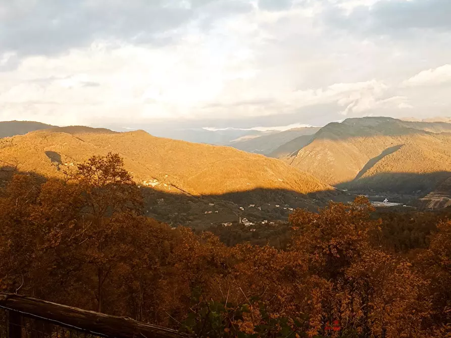 Immagine 6 di Bar / Ristorante in vendita  a Borgo A Mozzano