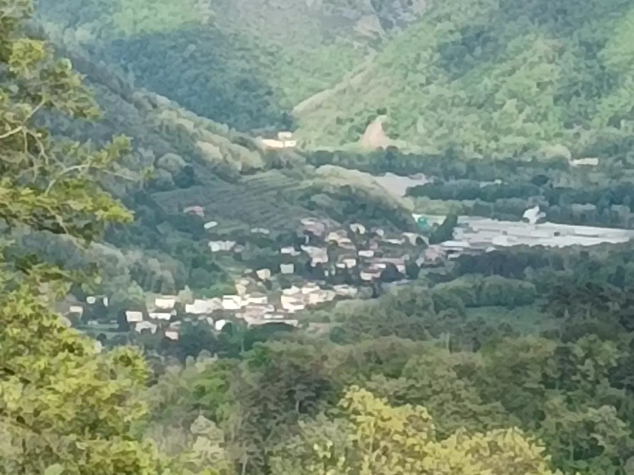 Immagine 10 di Bar / Ristorante in vendita  a Borgo A Mozzano