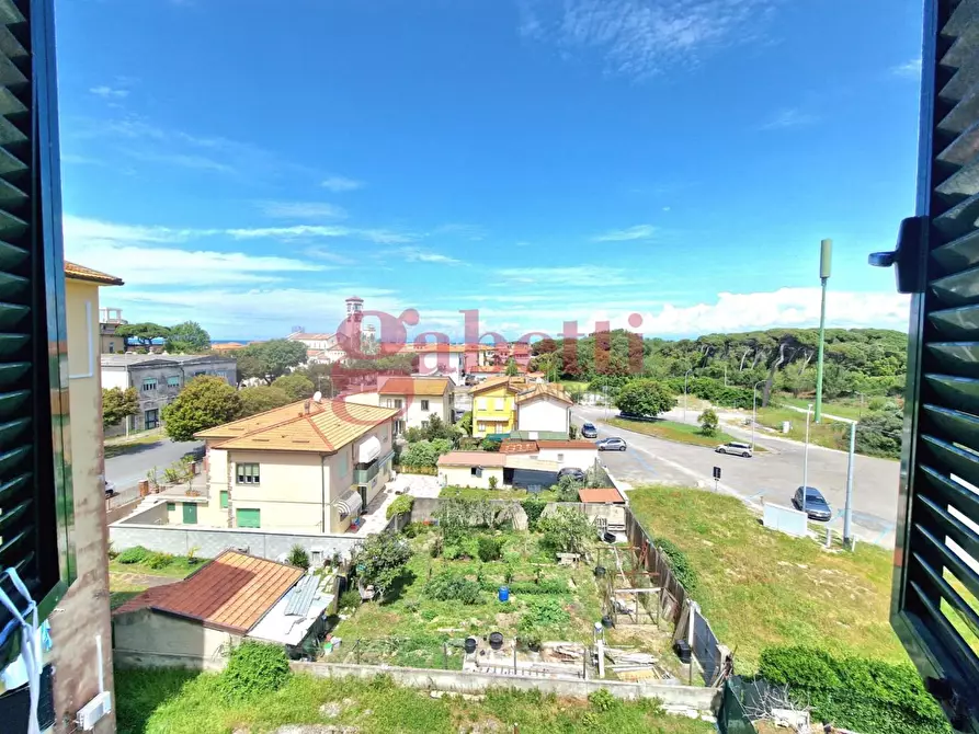 Immagine 11 di Appartamento in vendita  a Pisa