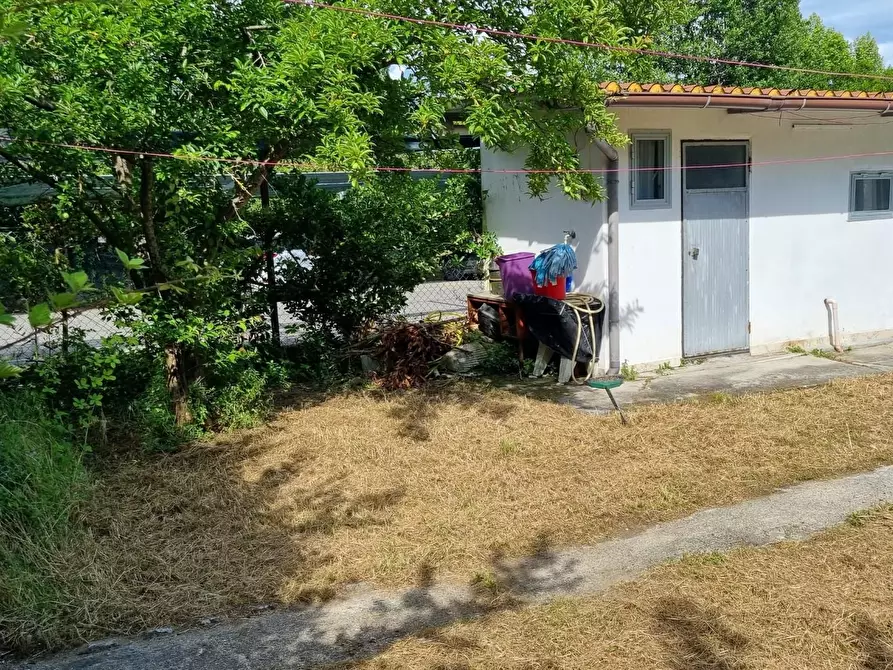 Immagine 7 di Casa indipendente in vendita  a Massa