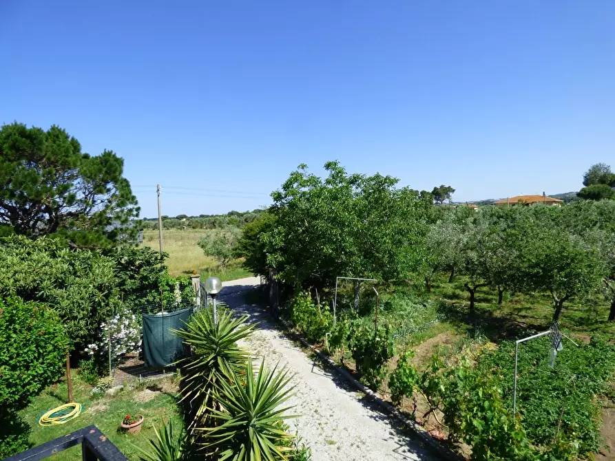 Immagine 20 di Casa colonica in vendita  a Campiglia Marittima