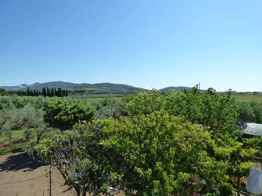 Immagine 21 di Casa colonica in vendita  a Campiglia Marittima