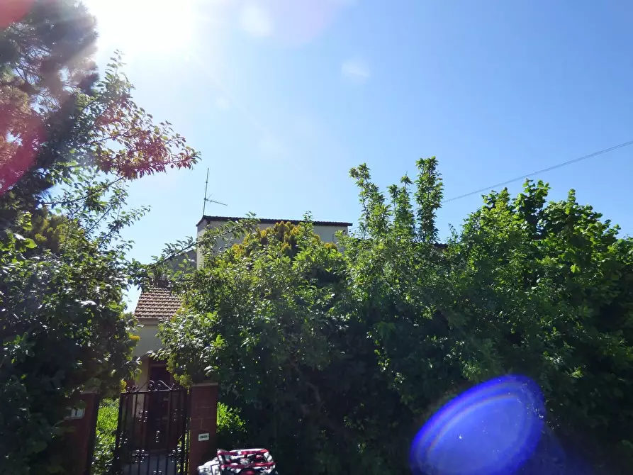 Immagine 2 di Casa colonica in vendita  a Campiglia Marittima