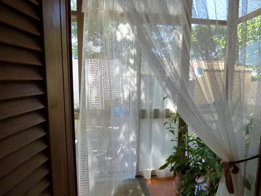 Immagine 12 di Casa colonica in vendita  a Campiglia Marittima