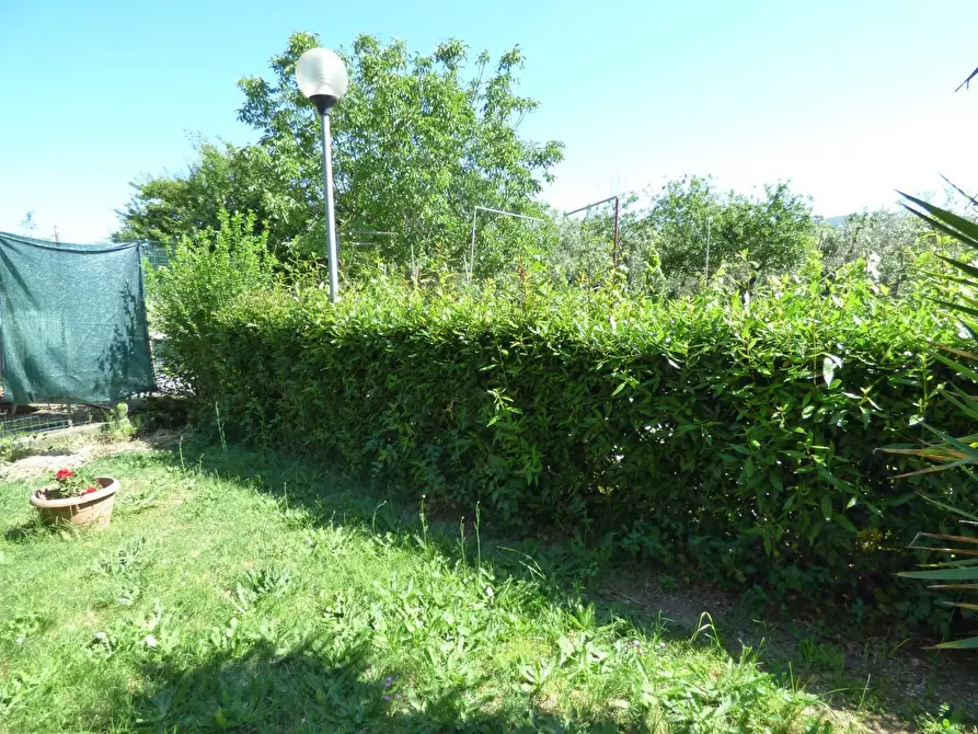 Immagine 5 di Casa colonica in vendita  a Campiglia Marittima