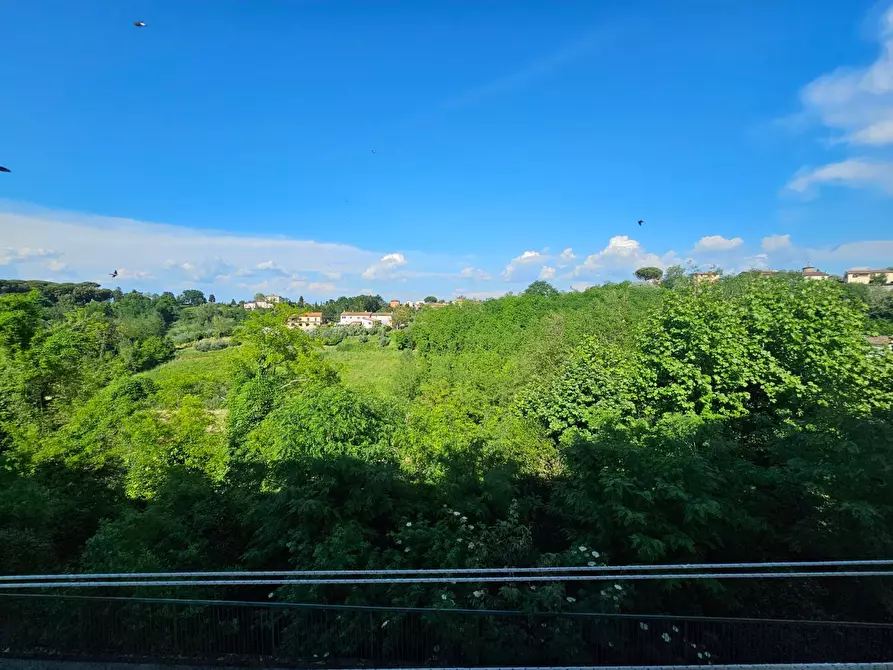 Immagine 25 di Appartamento in vendita  a Fauglia