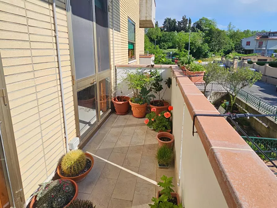 Immagine 42 di Appartamento in vendita  a Fauglia