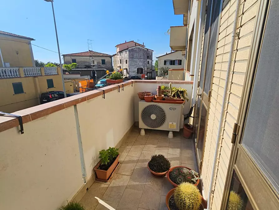 Immagine 43 di Appartamento in vendita  a Fauglia