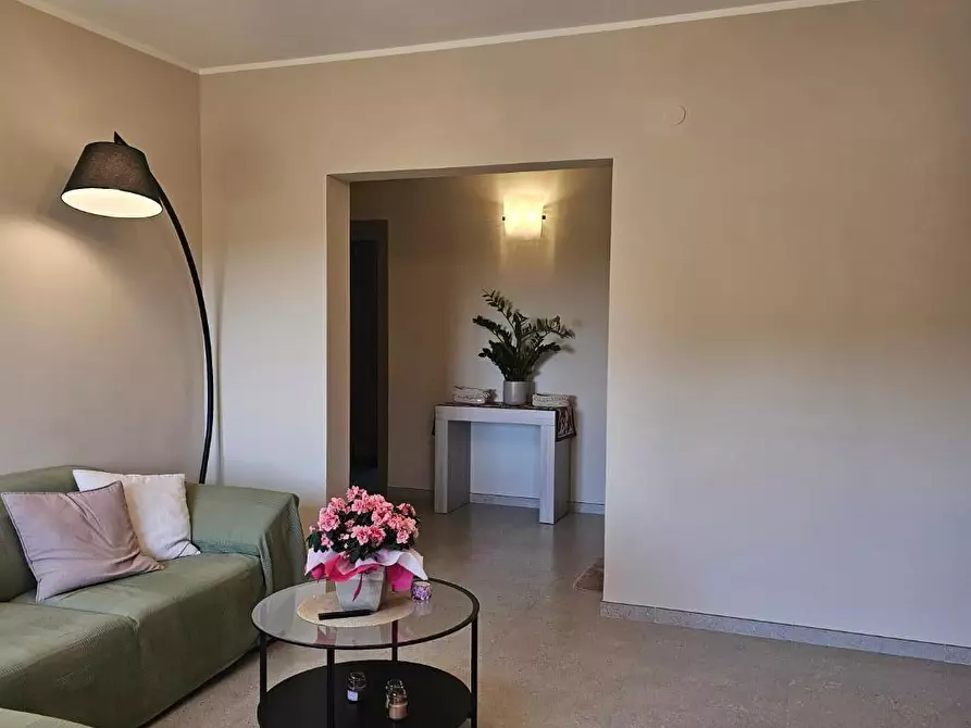 Immagine 9 di Appartamento in vendita  a Fauglia