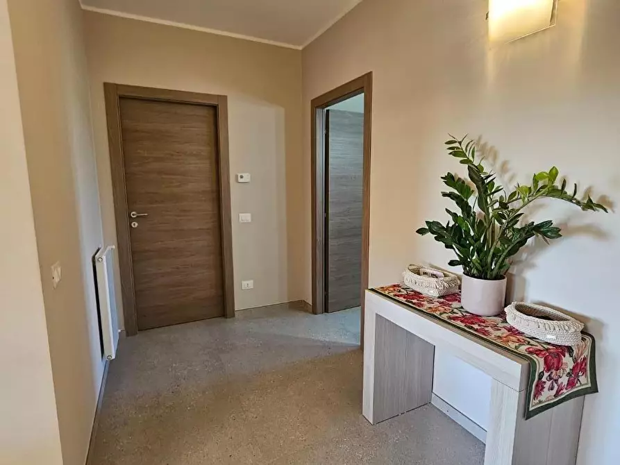 Immagine 12 di Appartamento in vendita  a Fauglia