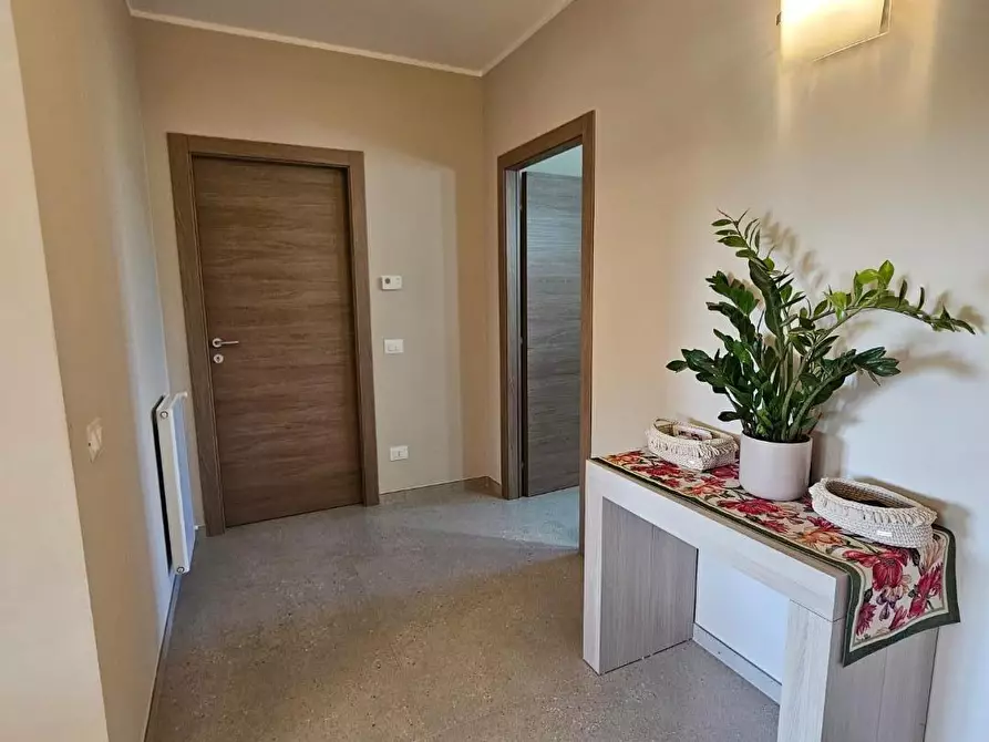 Immagine 11 di Appartamento in vendita  a Fauglia