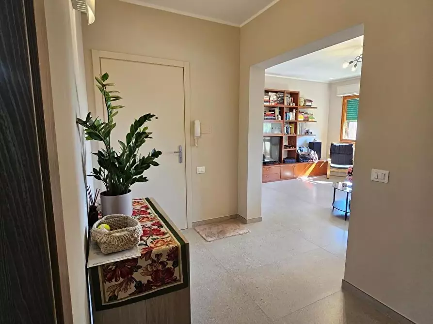 Immagine 13 di Appartamento in vendita  a Fauglia