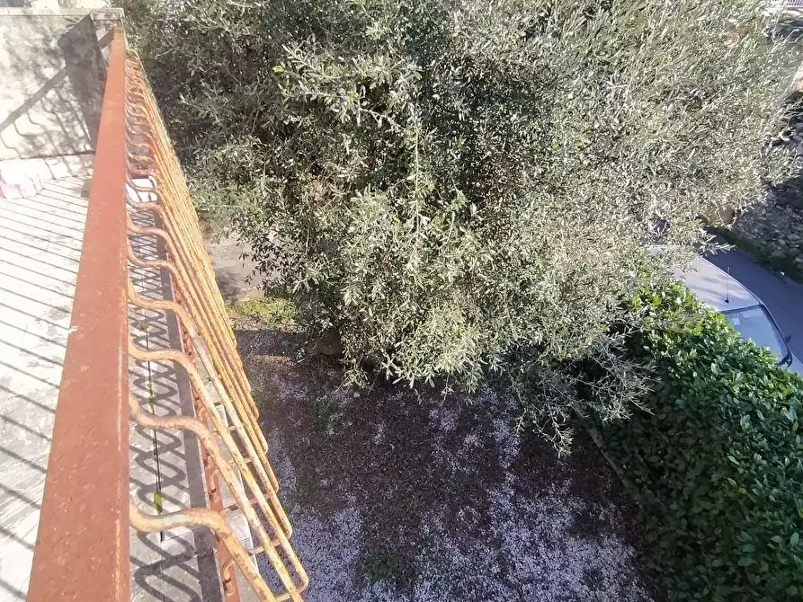 Immagine 11 di Porzione di casa in vendita  a Massa