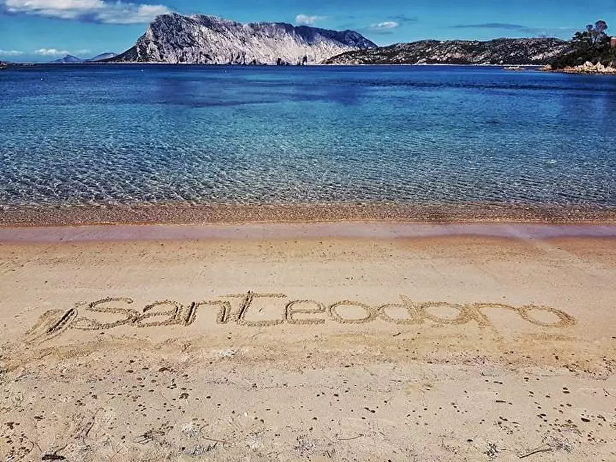 Immagine 10 di Appartamento in vendita  a San Teodoro