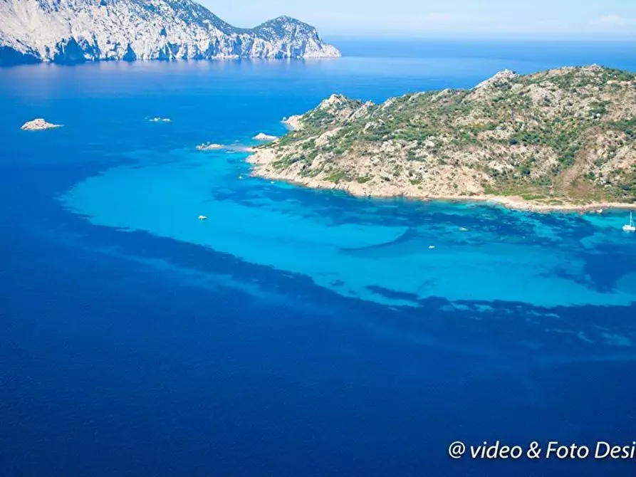 Immagine 9 di Appartamento in vendita  a San Teodoro