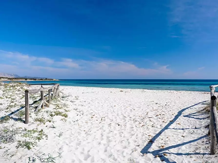 Immagine 8 di Appartamento in vendita  a San Teodoro