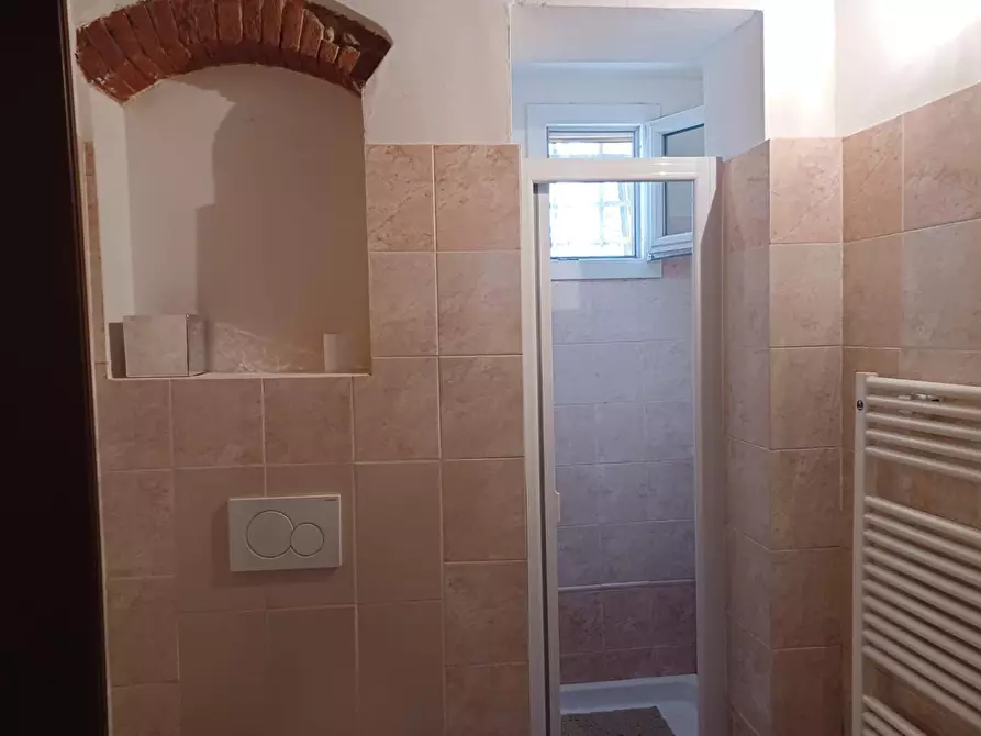 Immagine 16 di Appartamento in affitto  a Pisa