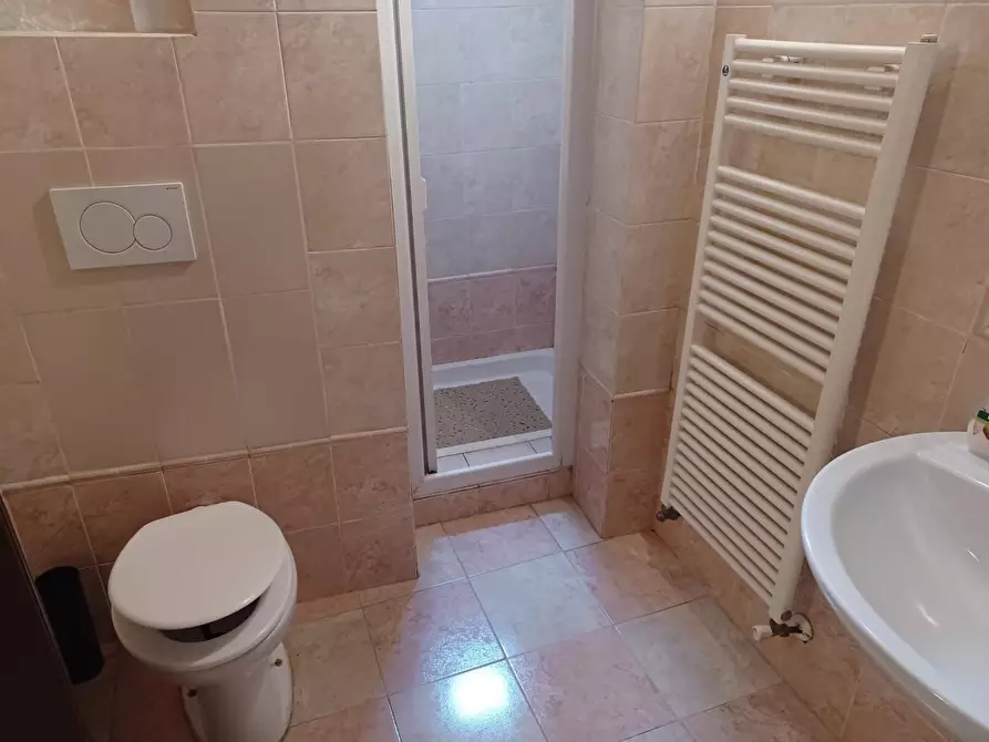 Immagine 14 di Appartamento in affitto  a Pisa