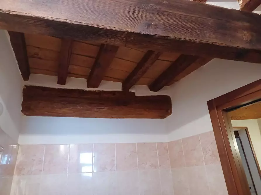 Immagine 24 di Appartamento in affitto  a Pisa