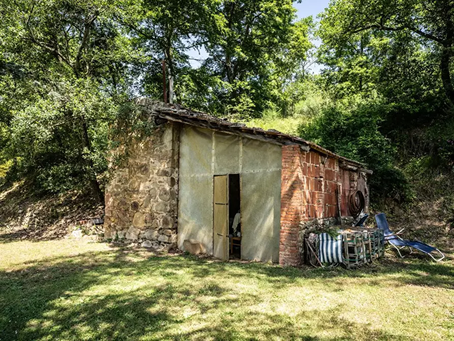 Immagine 51 di Casa colonica in vendita  a Sinalunga