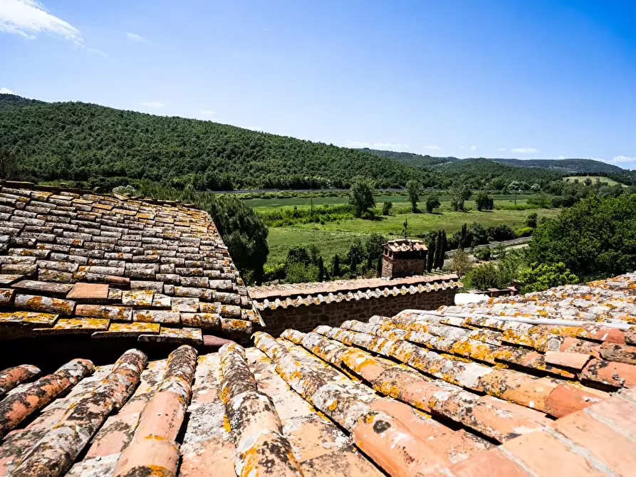 Immagine 36 di Casa colonica in vendita  a Sinalunga