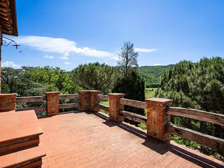 Immagine 46 di Casa colonica in vendita  a Sinalunga