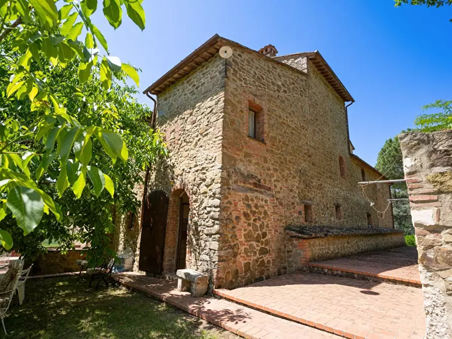 Immagine 11 di Casa colonica in vendita  a Sinalunga