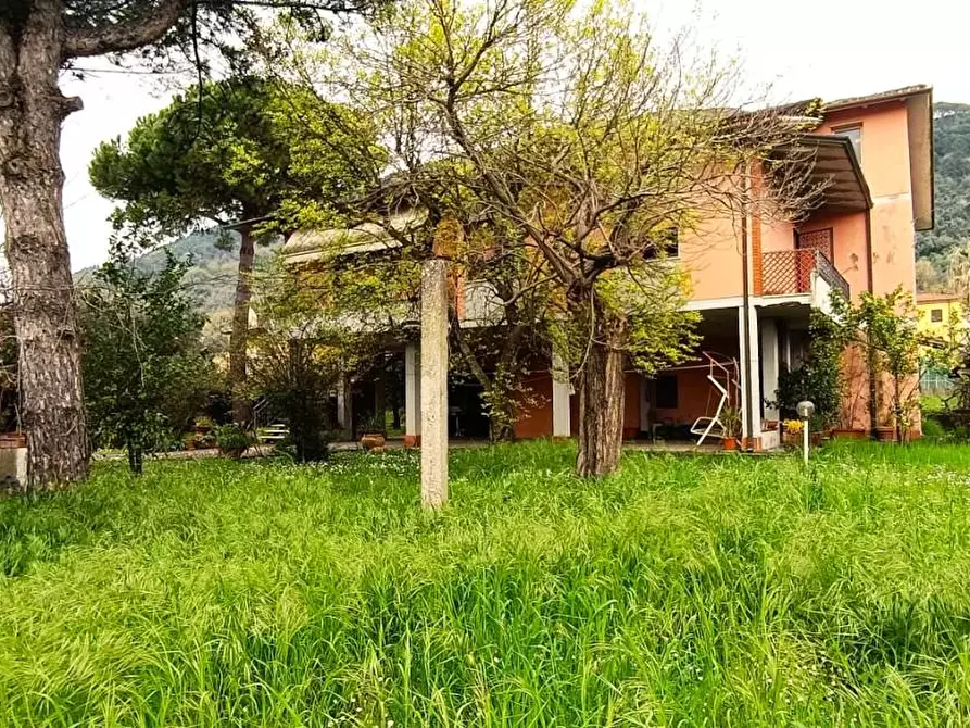 Immagine 3 di Villa in vendita  a Massa