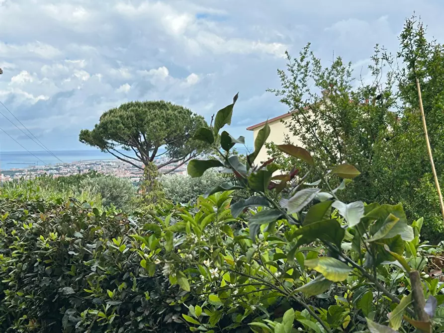 Immagine 1 di Appartamento in vendita  a Livorno