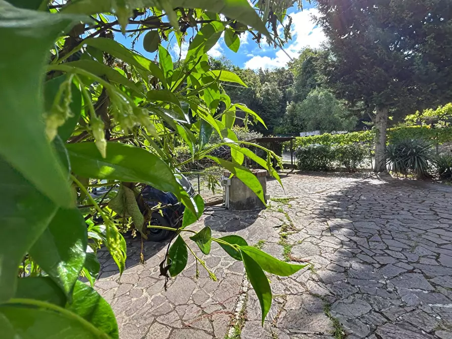 Immagine 3 di Appartamento in vendita  a Livorno