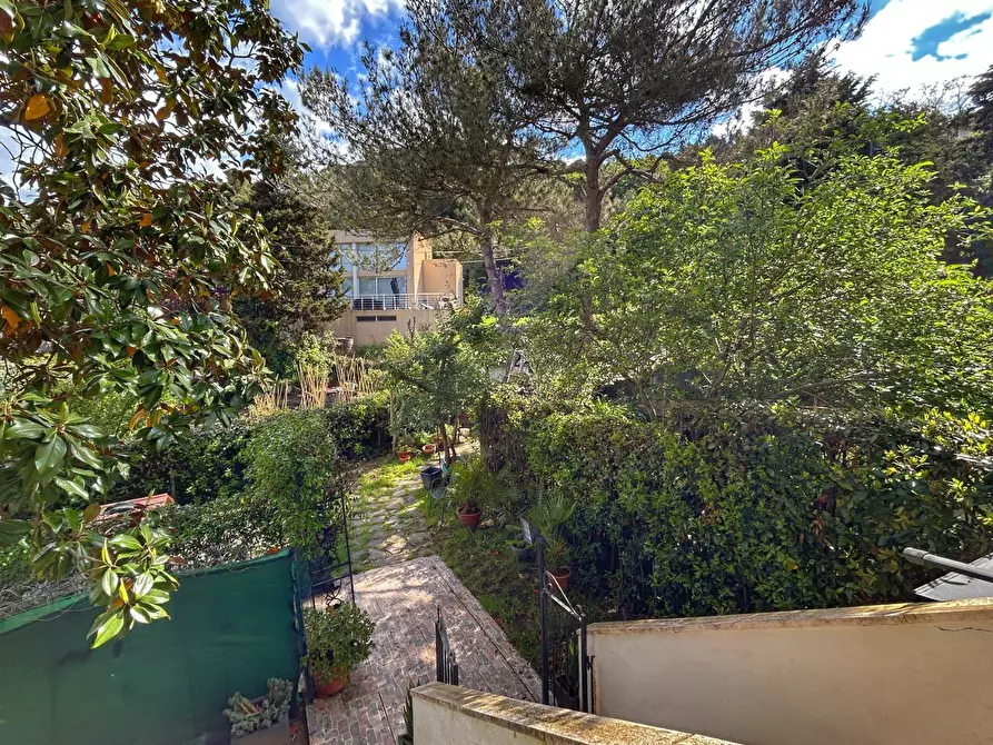 Immagine 2 di Appartamento in vendita  a Livorno