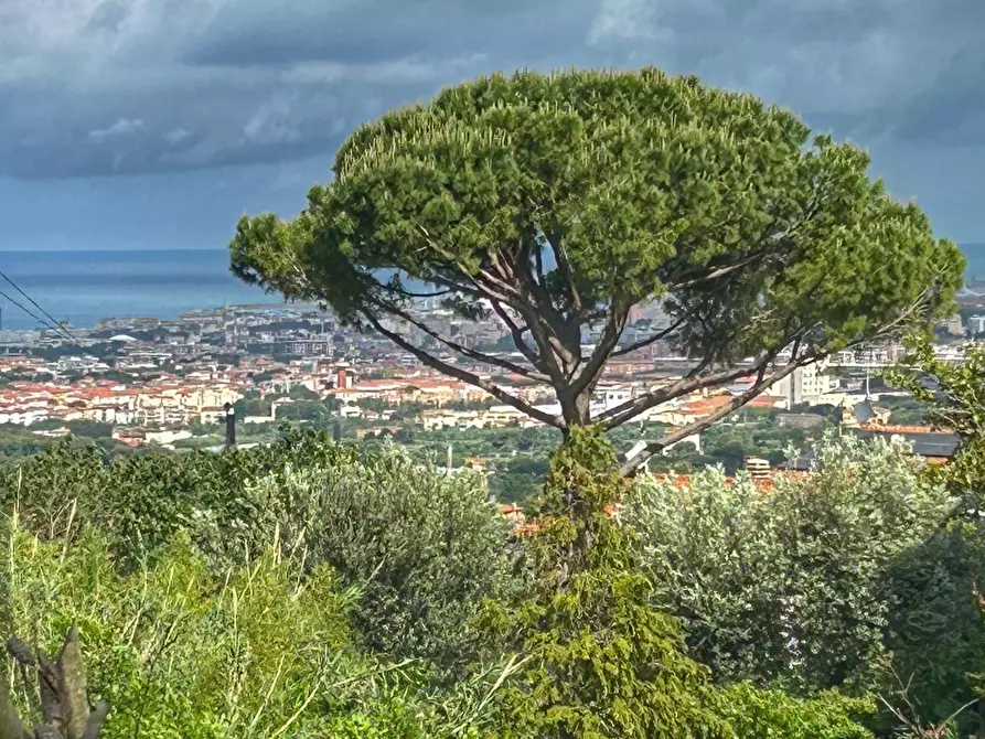 Immagine 17 di Appartamento in vendita  a Livorno