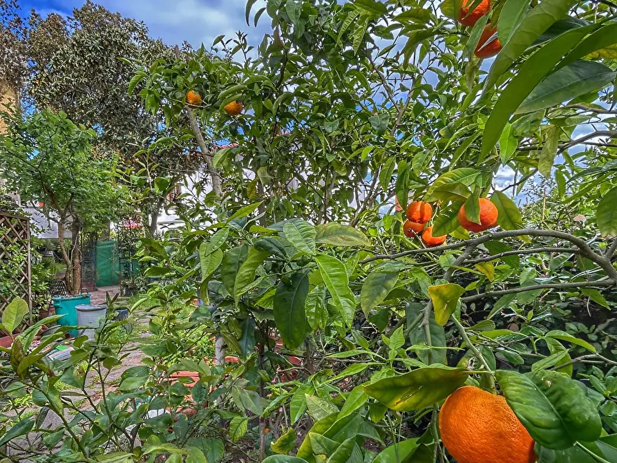 Immagine 19 di Appartamento in vendita  a Livorno