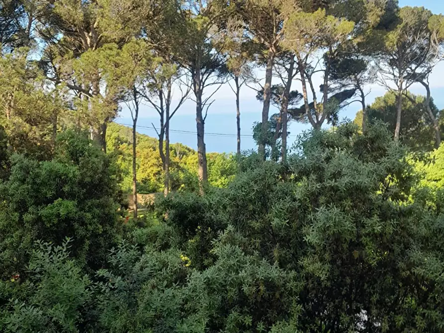 Immagine 2 di Appartamento in vendita  a Livorno