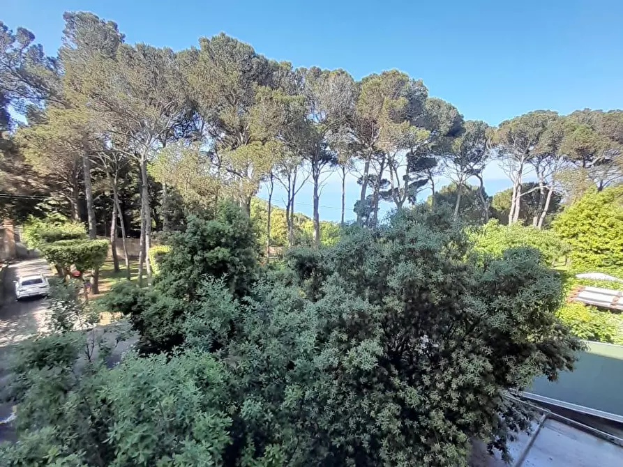 Immagine 3 di Appartamento in vendita  a Livorno