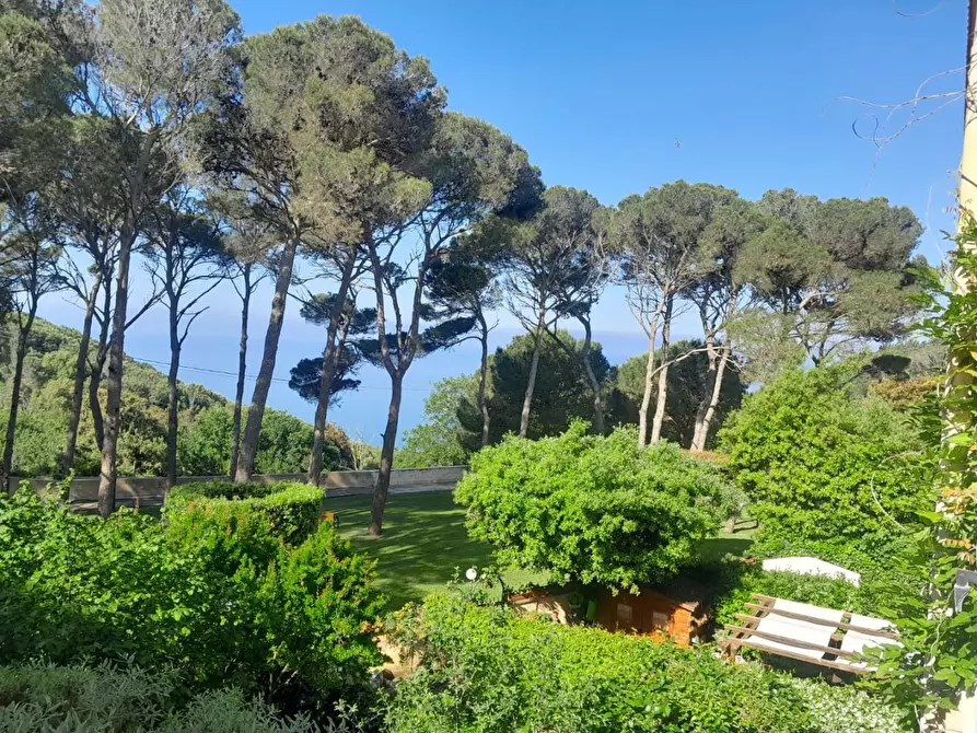 Immagine 1 di Appartamento in vendita  a Livorno